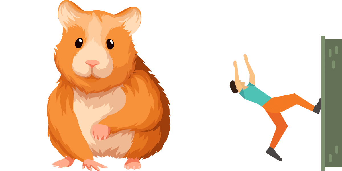 Hamster Backflip