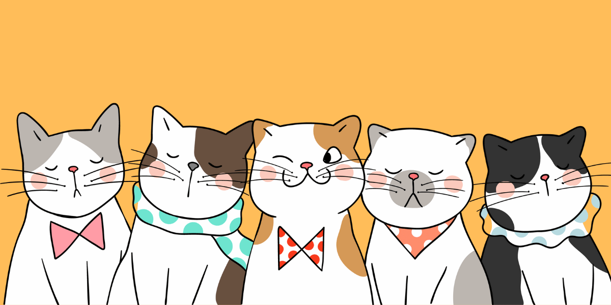 Multiple Cats Under One Roof 